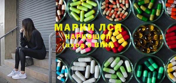 гашик Михайлов