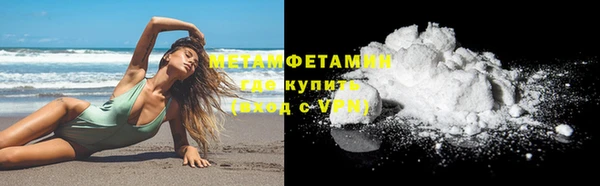 прущие грибы Бердск