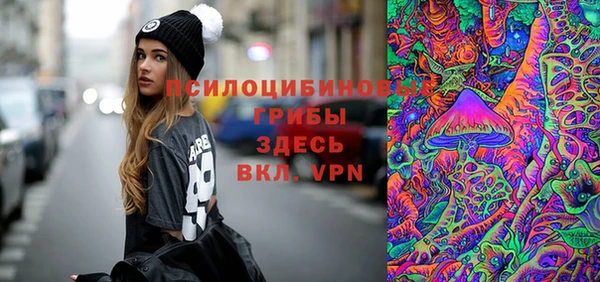 гашик Михайлов