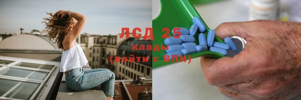 гашик Михайлов