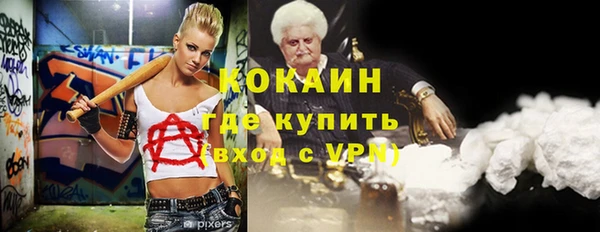 прущие грибы Бердск