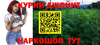 сатива Моздок