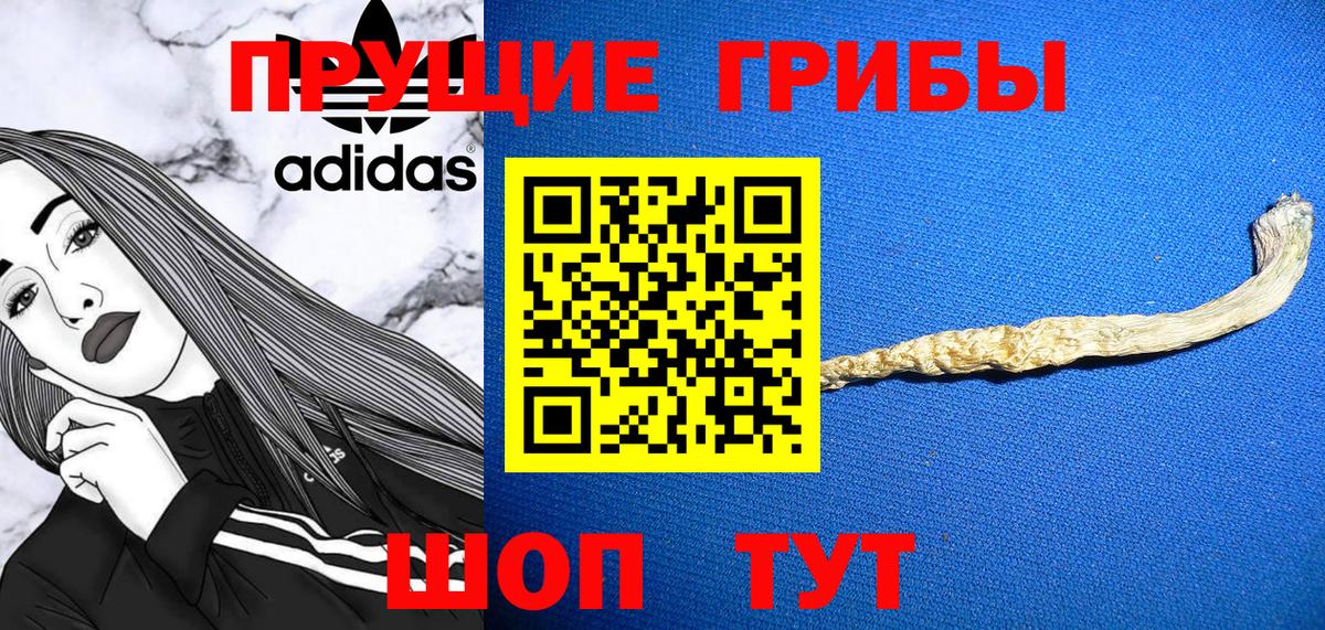 Псилоцибиновые грибы MAGIC MUSHROOMS  Вход с VPN  Троицк 